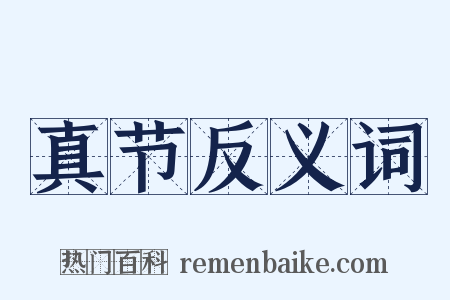 真节反义词是什么意思的图片